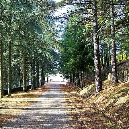 Bed & Breakfast Sanctuary Armony 4*