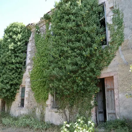 Armony Bono Bono (Sassari)